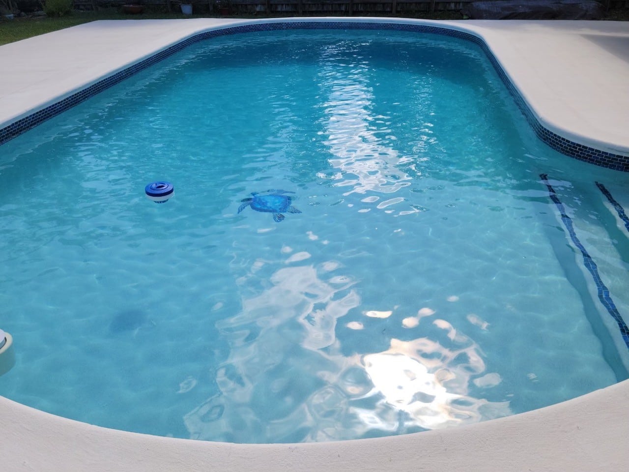 Guide to Pool Resurfacing: Six Key FAQs | Alligator Pools